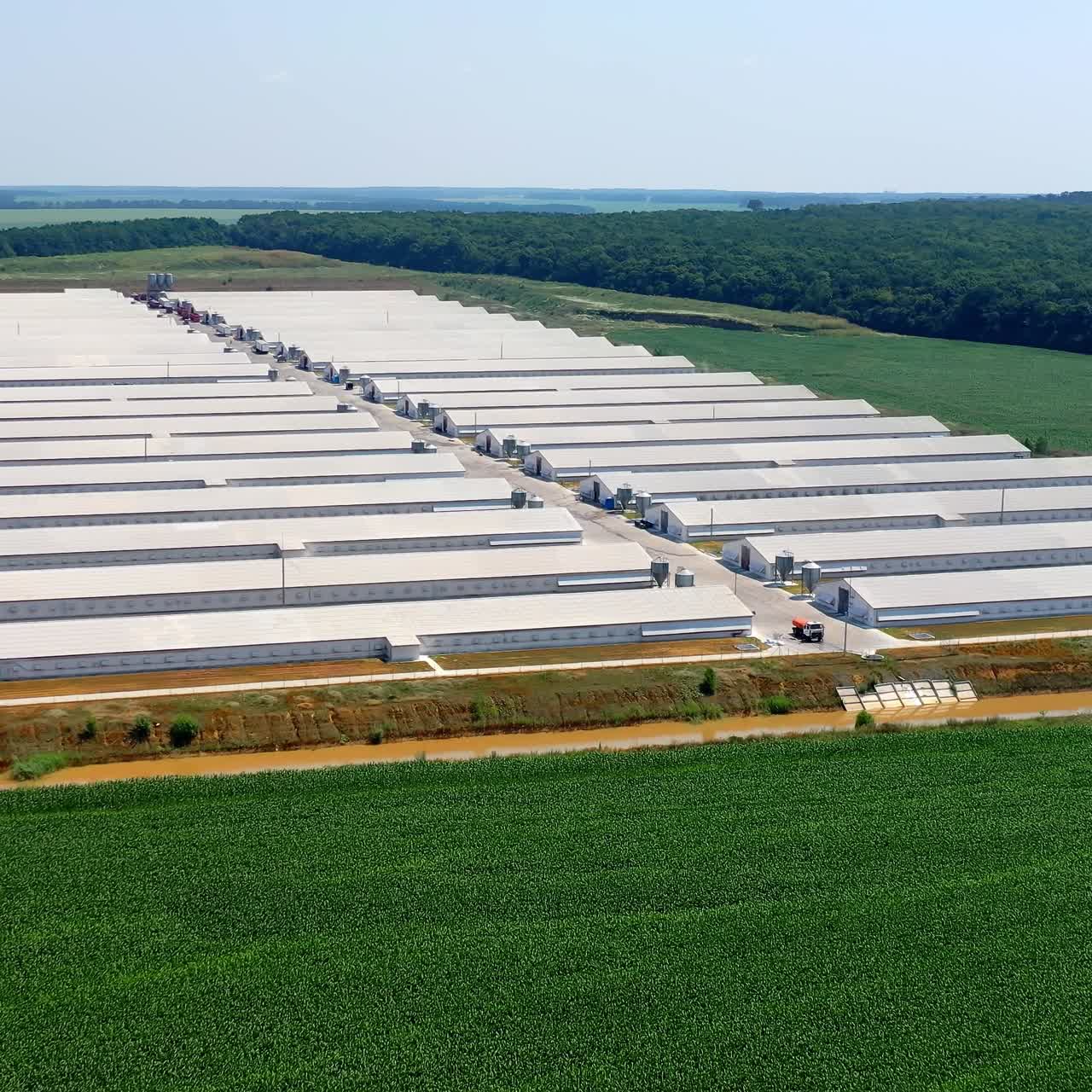 Aerial of view of farm with big barn, chicken house and fields in summer sunny light morning. Establishing shot. Farming concept