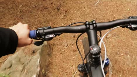 male cyclist cycling in forest