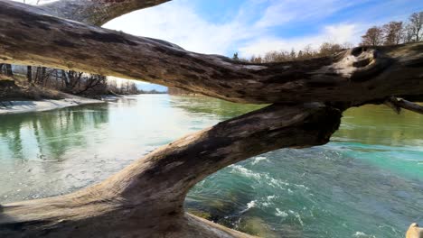 slomo - a view through the driftwood on the green inn river in tyrol