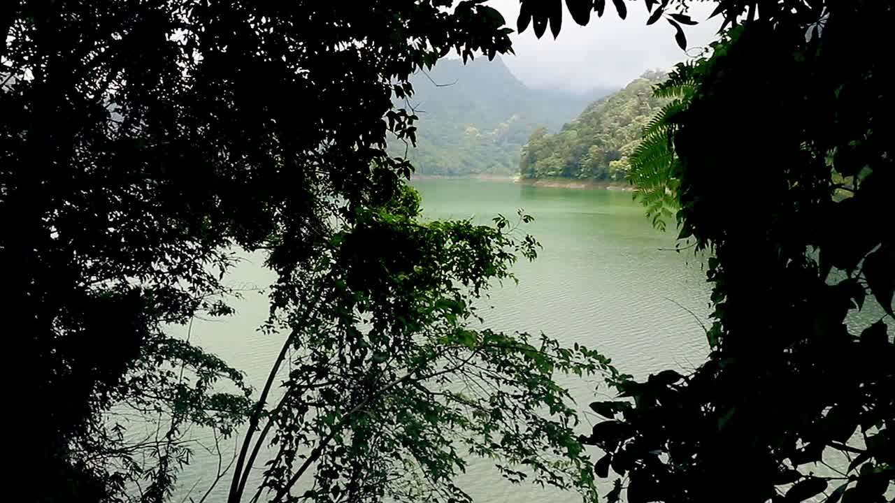 View of a serene green lake framed by shadows of foliage in Balinsasayao Twin Lake Natural Park in Sibulan Philippines