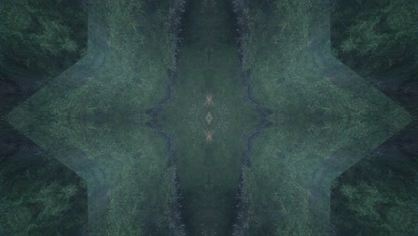 greenery kaleidoscope using forest imagery from wissahickon creek, philadelphia, #67