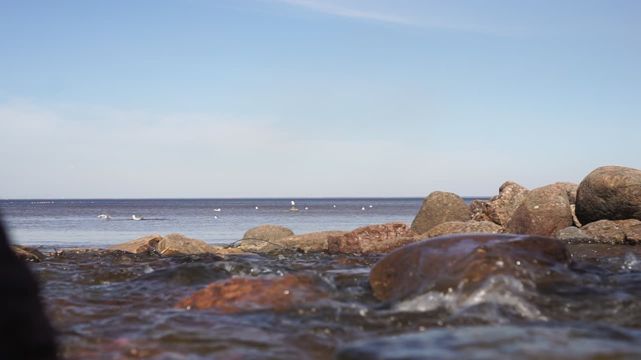 Rocky Beach with Gulls