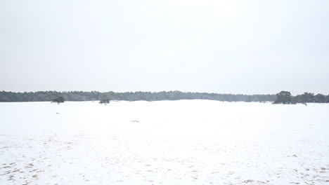 extreme wide pan of snow covered sand dunes