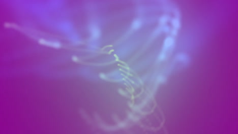 animación de senderos de luz en fondo púrpura