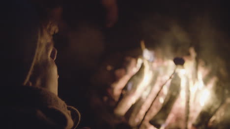 young male traveler toasting smores with his friends at a bonfire