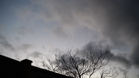 Time-lapse-De-Nubes-Veloces-Al-Atardecer-Con-Silueta-De-árbol