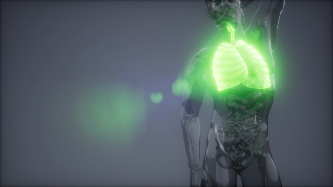 examen radiológico de los pulmones humanos