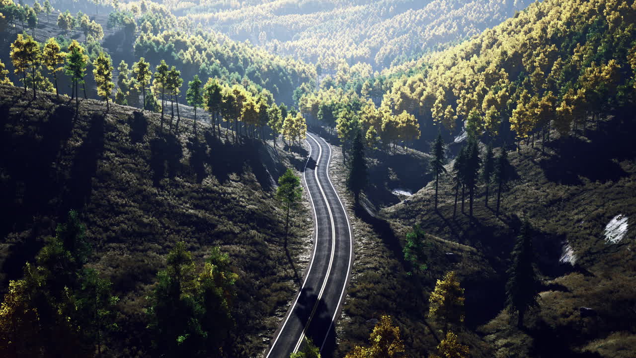 Winding road through vibrant forest landscape on a sunny day