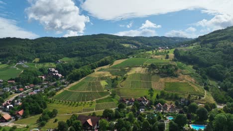 aerial view of german village in blackforest on hillside with dense forest, lush fields, hills and a paraglider soaring high