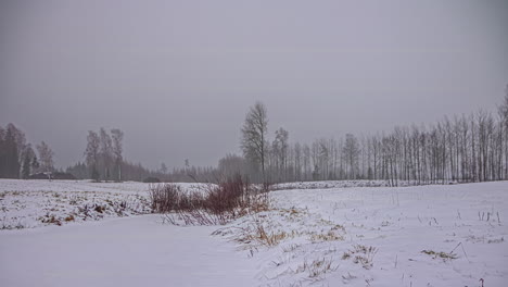 Foggy-winter-day-in-countryside-with-fields-and-forest,-time-lapse-view