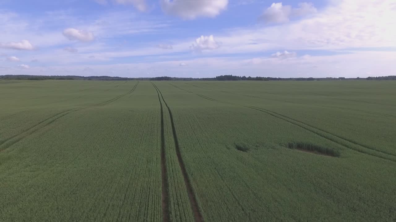 Luftaufnahme von schweren Landmaschinen-Fahrspuren auf grünen landwirtschaftlichen Feldern an einem bewölkten Sommertag. Spur nach links und Aufstieg