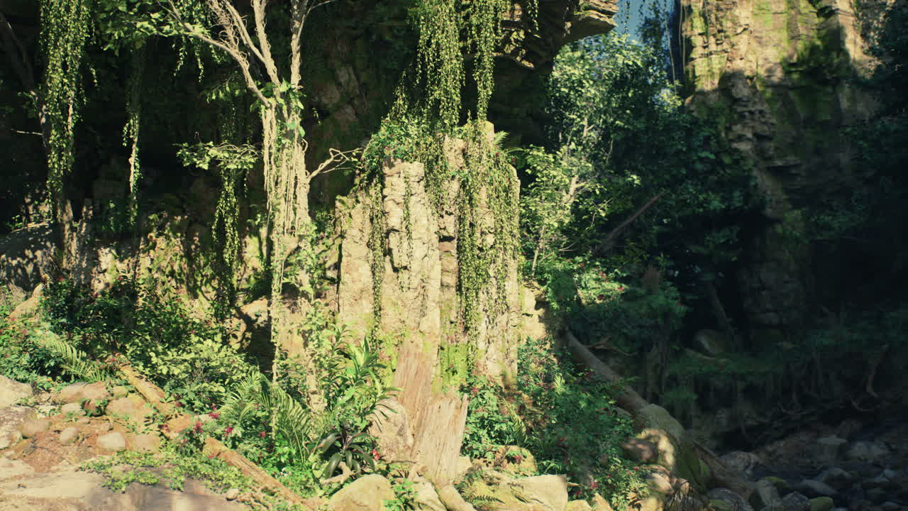 camino escondido a través de un exuberante bosque tropical