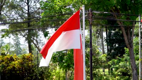 flag of indonesia waving on wind in slow motion with lush green background