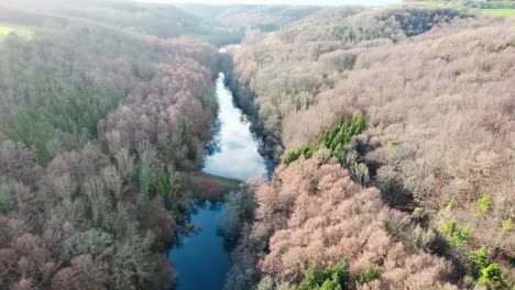 kennel pond, stroud in woodchester park between trees, aerial view