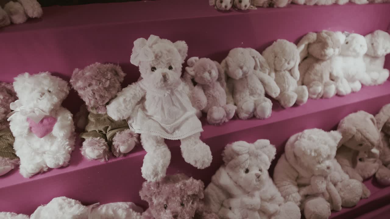 Ursos de pelúcia fofinhos em tons pastel suaves dispostos em fileiras em prateleiras rosas, formando uma vitrine de brinquedos decorativa em uma barraca de mercado