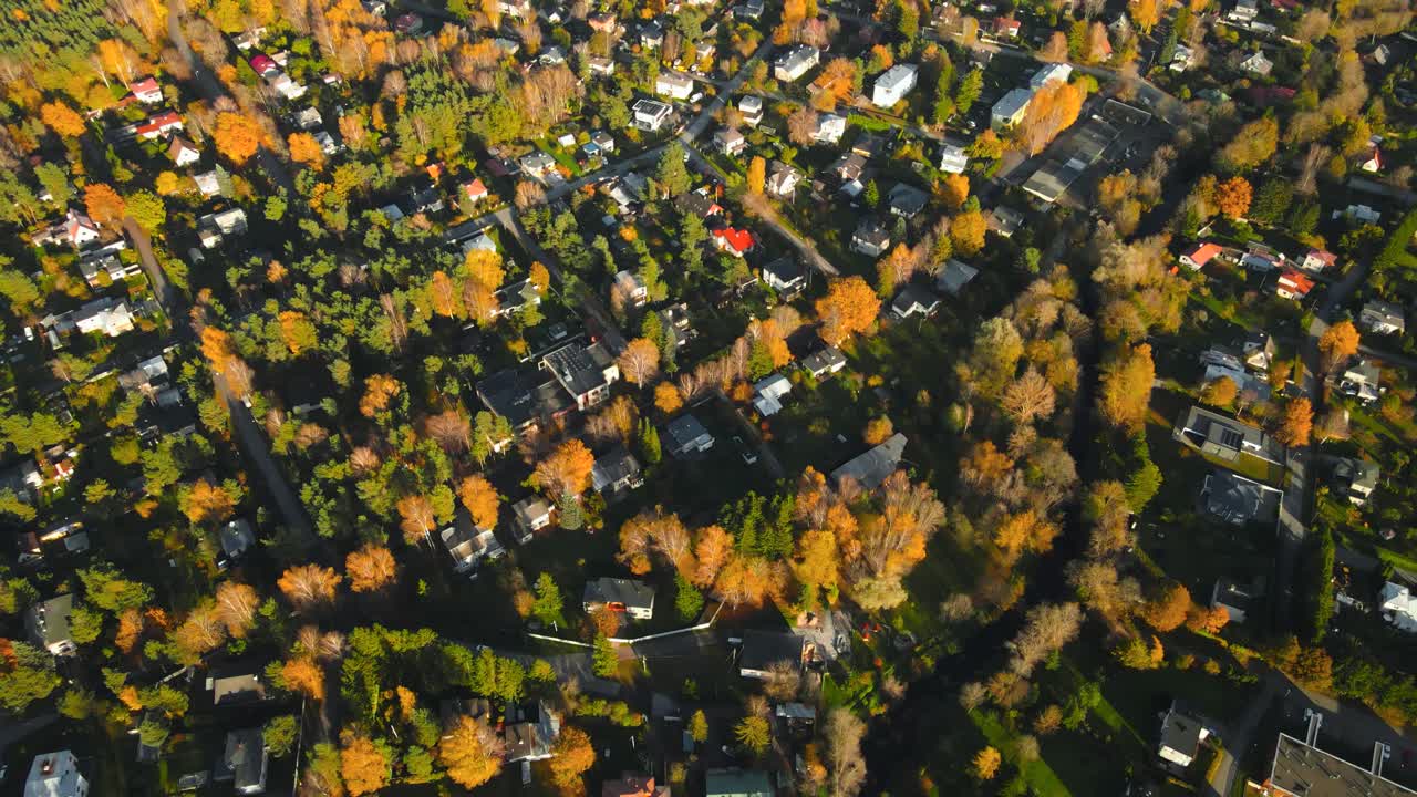 Aerial drone footage flying higher and revealing a small urban and adorable town with autumn yellow and green trees during a sunny morning day or sunset with road and rooftops where cars are driving