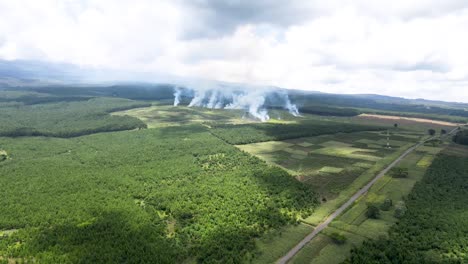 drone view- africa forest- africa  bush fire. bush fire on slopes of mount kilimanjaro loitokitok kenya. loitokitok bush fire. deforestation on the forest of loitokitok kenya. kilimanjaro forest fire