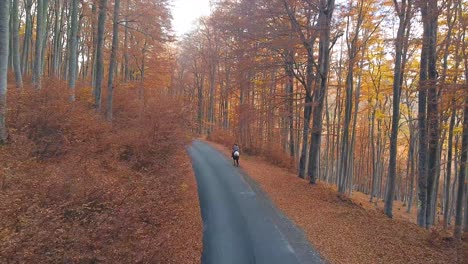 Person-riding-a-horse-in-a-forest-in-autumn-with-orange-leaves-and-tall-trees