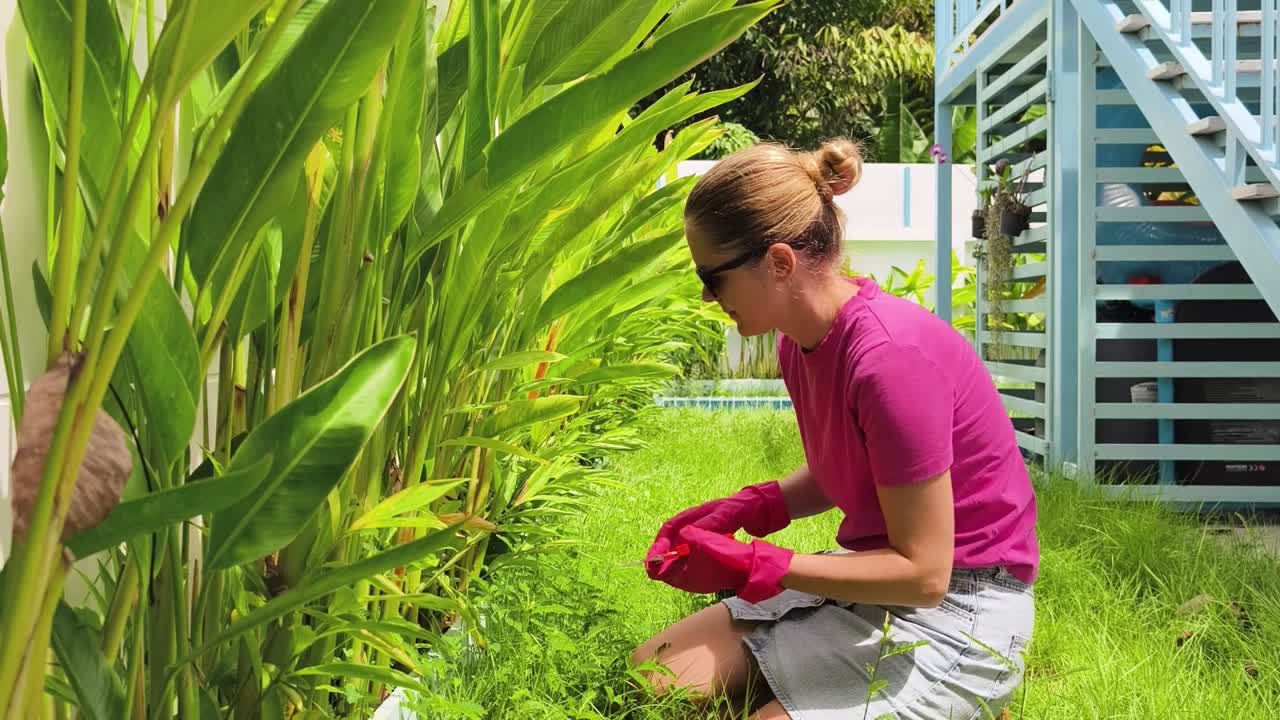 뒷마당 에서 정원 을 꾸리는 여자