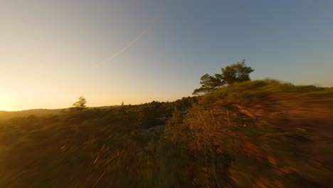 vuelo a baja altitud del dron fpv pasando por las copas de los árboles de la costa sueca durante la puesta de sol de verano