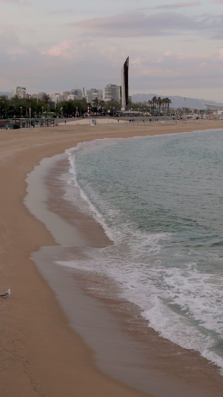 пляжи барселоны почти пусты во время блокировки коронавируса в вертикальном направлении