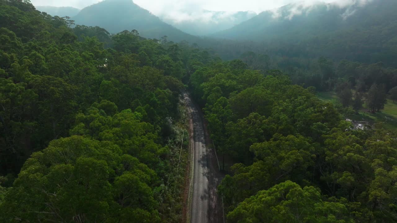 Misty clouds Lower Mangrove road gum eucalyptus trees Dharug Popran forest Hawkesbury River Creek NSW Sydney Blue Mountains Australia aerial drone Spring Summer misty sunny morning up forward motion