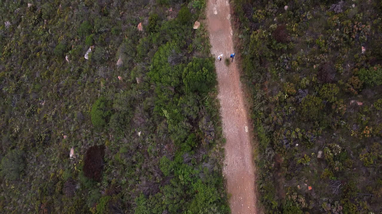 Aerial view of people walking on a path through vegetation