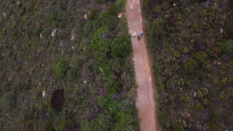 aerial view of people walking on a path through vegetation