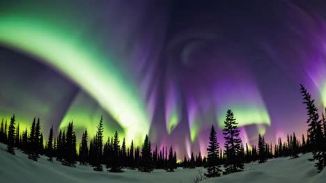 vibrant green and purple aurora borealis glowing and dancing across dark snowy forest landscape, illuminating nocturnal winter wilderness with mesmerizing celestial display