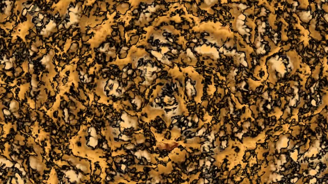 luxury gold and abstract dark line surface fast flow on wall motion tile background