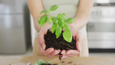 mujer caucásica sosteniendo un trozo de tierra con una planta de albahaca.