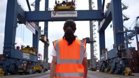 a worker in safety gear observes cargo operations at a bustling dock filled with containers. cranes are actively loading and unloading goods, highlighting the dynamic logistics environment.