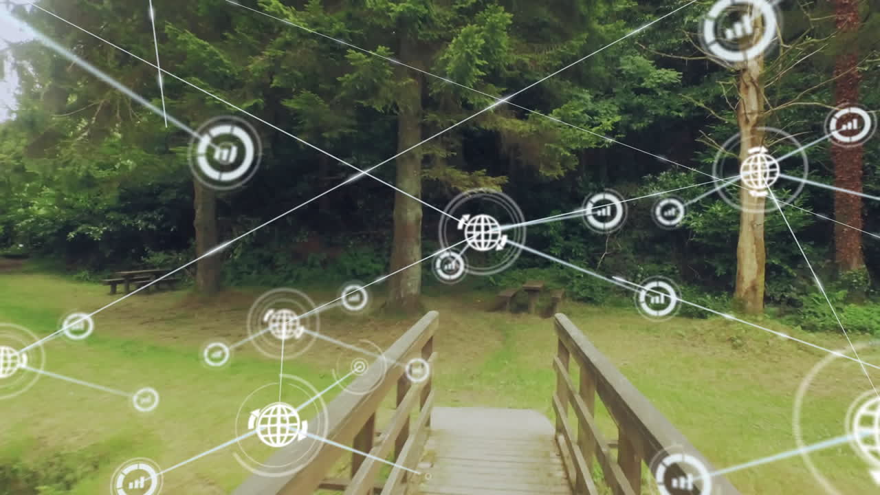 Wooden footbridge stretching into grassy clearing, showing floating network icons in flat design