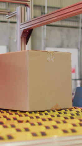 diversos trabajadores masculinos y femeninos con cajas en la cinta transportadora en el almacén