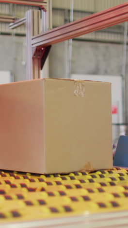 diverse male and female workers with boxes on conveyor belt in warehouse