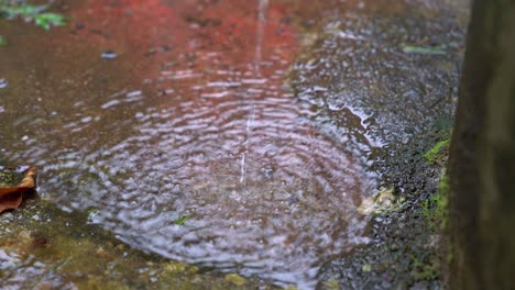 water dripping into small puddle