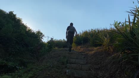 man in nature climbing steps in pineapple garden field, sylhet, golden hour