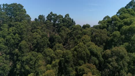 berkeley hills aéreo norte de california