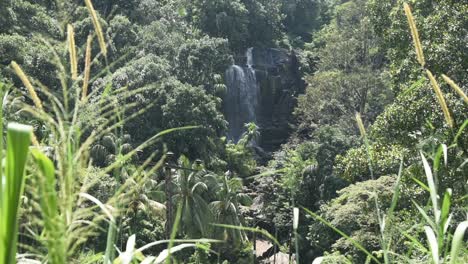 beautiful sri lankan waterfall at sabaragamuwa province