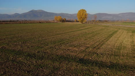 Parcelas-Plantadas-De-Granja-Agrícola-En-Un-Hermoso-Paisaje-En-Colores-Otoñales