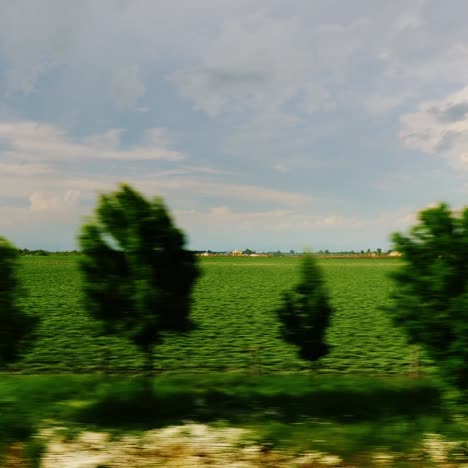 The-Countryside-Of-Hungary-Viewed-From-The-Window-Of-A-Fast-Moving-Car-5