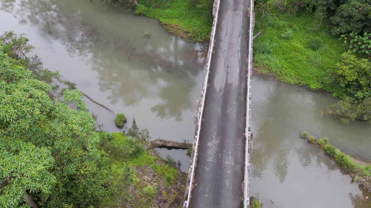 울창 한 숲 에 둘러싸인 물 위 의 다리