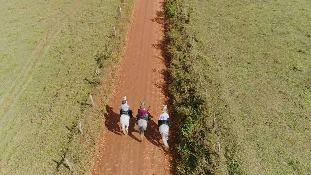 vista superior de caballos en la carretera, minas gerais, brasil