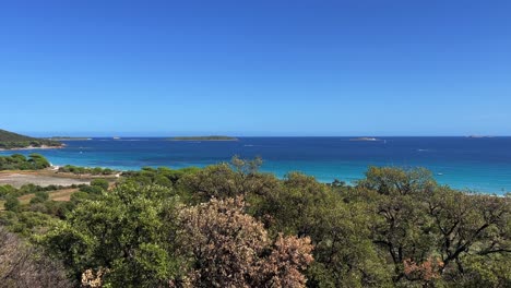 Aerial-panning-view-of-famous-Palombaggia-beach-in-south-Corsica-surrounded-by-pine-trees-with-azure-and-blue-clear-sea-water-in-background-,-France