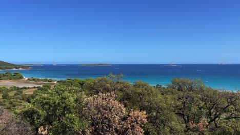 vista panorámica aérea de la famosa playa de palombaggia en el sur de córcega rodeada de pinos con agua de mar azul y azul claro en el fondo, francia