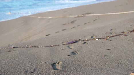 Huellas-En-La-Playa-Tropical-En-La-Arena-Que-Conduce-A-La-Orilla-Del-Océano-En-México.