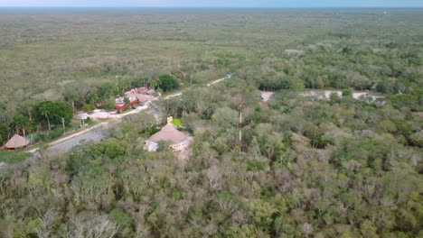 Vista-Superior-Aérea-De-Un-Ecosistema-De-Bosque-Verde-Con-Un-Ambiente-Saludable