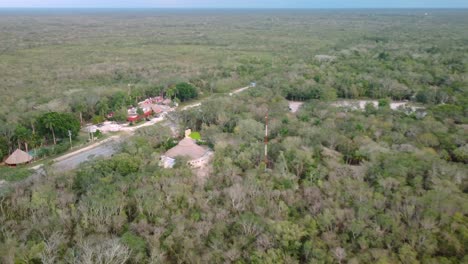 vista superior aérea de un ecosistema de bosque verde con un ambiente saludable