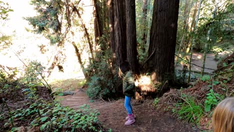 two little girls enjoy free time in forestry area with coastal redwood tree