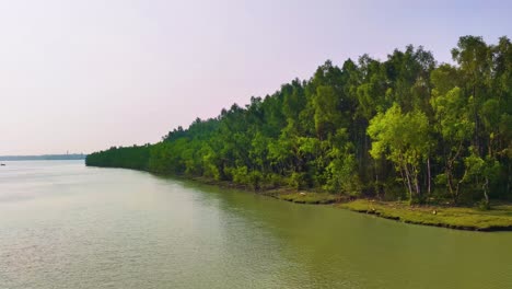 tranquil river with sundarban mangrove forest in bangladesh